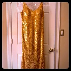 Bari Jay Formal Floor Length Gown